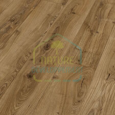 Échantillon MEISTER LL 250