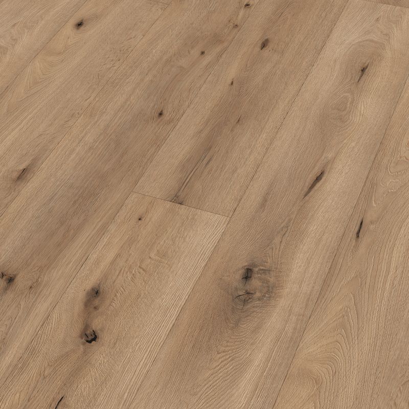 Sol design MeisterDesign. next DD 500 S - Bois, liège intégré – Image 11