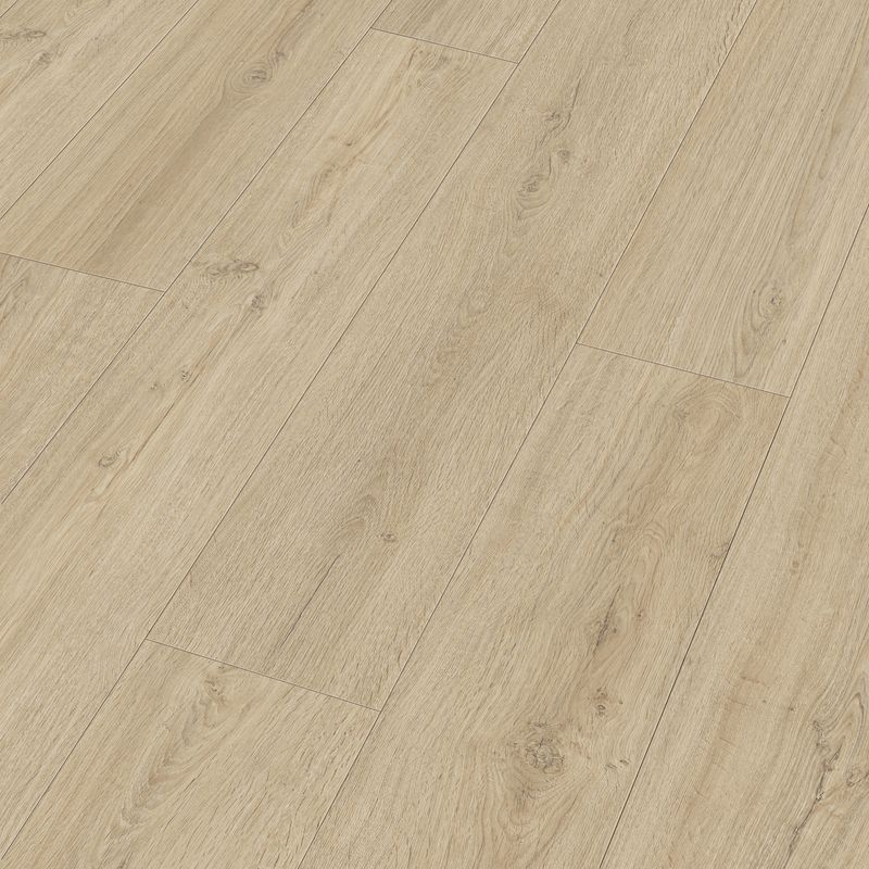 Sol design MeisterDesign. next DD 500 S - Bois, liège intégré – Image 19