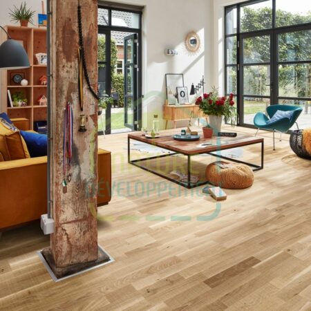 parquet bois