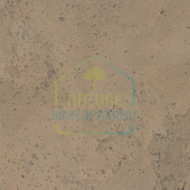 Parquet liège huilé Kork plus de Ziro – Image 6