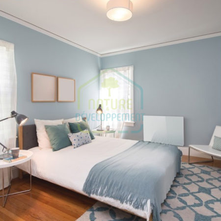 Radiateur en verre à inertie Solaris 550W 80x45cm