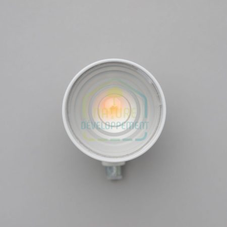 Spot apparent LED rotule nue 6W gamme ACAJOU