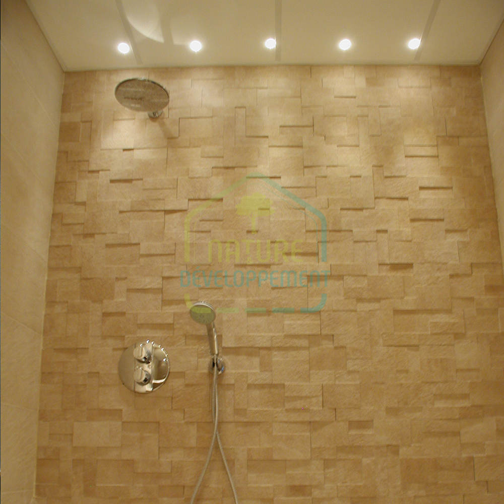 spot salle de bain