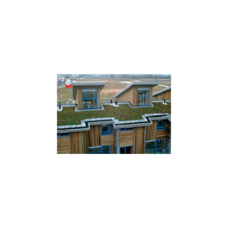 Toiture végétalisée