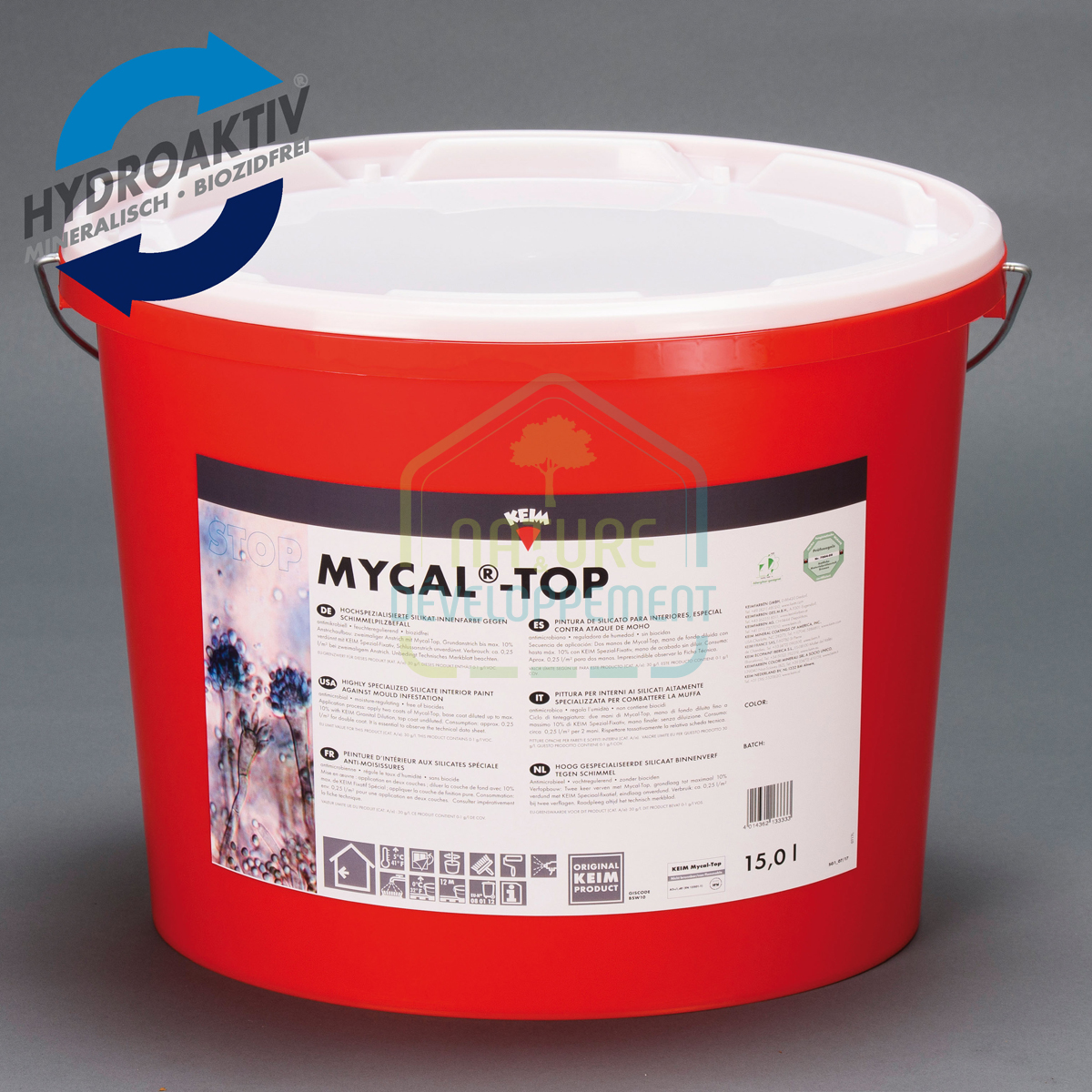 Peinture anti moisissure