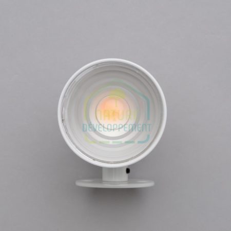 Raccord à plaque 40mm pour spot apparent ACAJOU