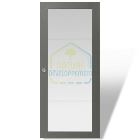 Porte intérieure BORA Modulo de Rozière Modèle vitré uni pose traditionnelle