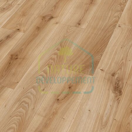 Échantillon MEISTER LD 55