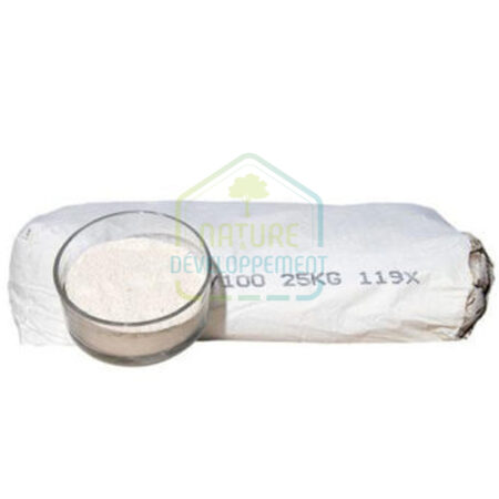 Poudre de marbre ou carbonate de calcium