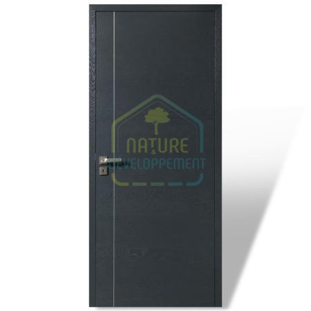 Porte intérieure ÉPURE Modulo de Rozière Modèle D2 uni chambranle contre chambranle