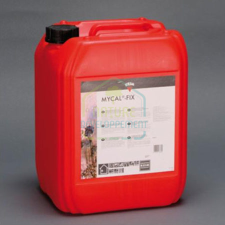 Fixateur des moisissures et des spores KEIM Mycal-Fix