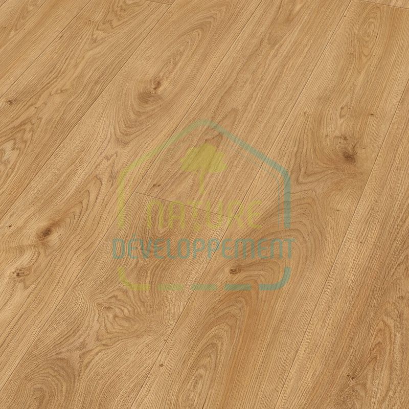 Échantillon MEISTER LL 150 S – Image 12