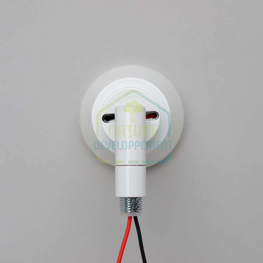 Spot apparent LED rotule nue 6W gamme ACAJOU – Image 4
